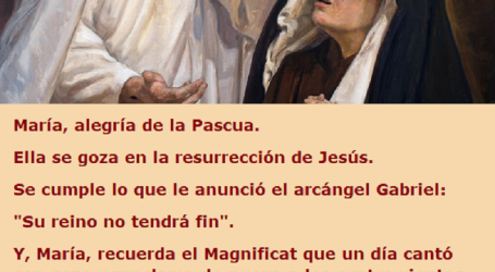 María, alegría de la Pascua, llévanos a Jesús, fruto bendito de tu vientre / Por P. Carlos García Malo