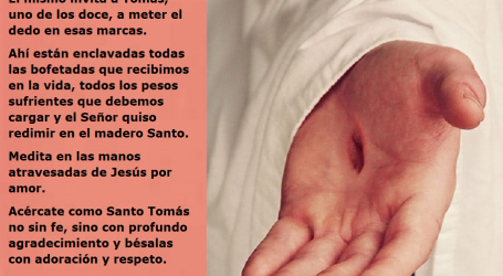 Aquellas manos dolientes de Cristo hoy te abrazan en gloria para consolarte y fortalecerte / Por P. Carlos García Malo