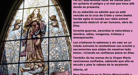 Caminamos confiados, sabiendo que la Virgen María es escudo y pisa la cabeza de la serpiente / Por P. Carlos García Malo