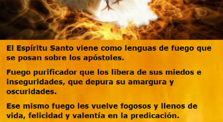Que el Espíritu Santo se pose como fuego ardiente sobre nosotros y reavive las ascuas de la fe / Por P. Carlos García Malo