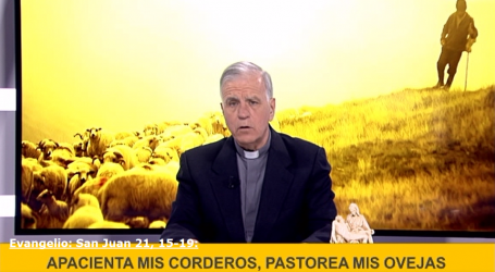 Palabra de Vida 7/6/19: «Apacienta mis corderos, pastorea mis ovejas» / Por P. Jesús Higueras