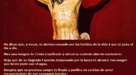 Mira una imagen de Cristo crucificado y ahí en su costado abierto escóndete / Por P. Carlos García Malo