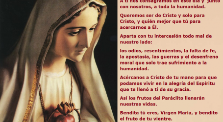 Inmaculado Corazón de María, que lates al unísono con el Sagrado Corazón de Jesús, a ti nos consagramos / Por P. Carlos García Malo