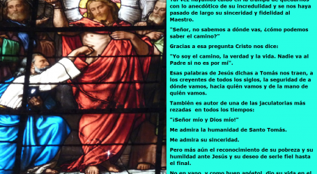 Santo Tomás, apóstol: «¡Señor mío y Dios mío!» / Por P. Carlos García Malo