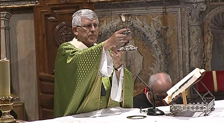 Santa Misa de hoy domingo, 14 de julio de 2019, 15ª semana de Tiempo Ordinario, en la catedral de Toledo, presidida por el arzobispo Mons. Braulio Rodríguez