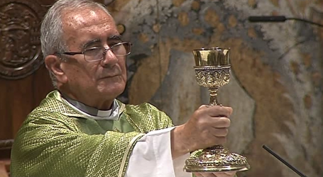 Santa Misa de hoy domingo, 28 de julio de 2019, 17ª semana de Tiempo Ordinario, en la catedral de Toledo