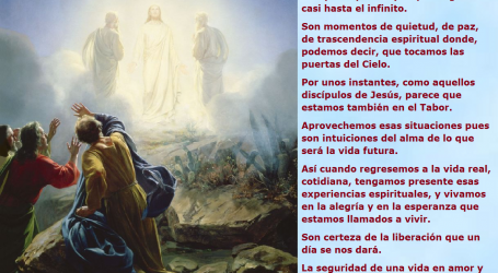 Vivamos en la seguridad de una vida en amor y santidad con Dios para siempre / Por P. Carlos García Malo