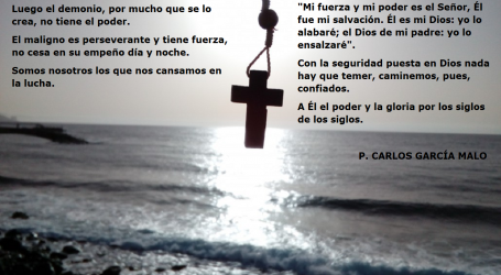 «Mi fuerza y mi poder es el Señor. Él es mi Dios: yo lo alabaré” / Por P. Carlos García Malo