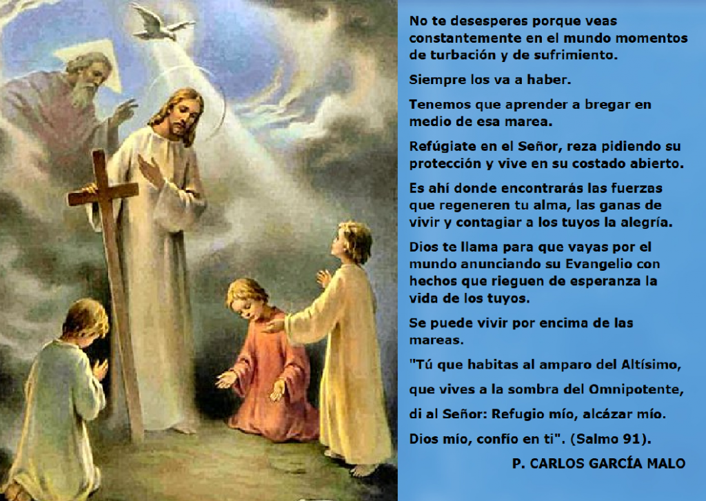 Di al Señor: Refugio mío, alcázar mío. Dios mío, confío en ti” / Por P.  Carlos García Malo – caminocatolico