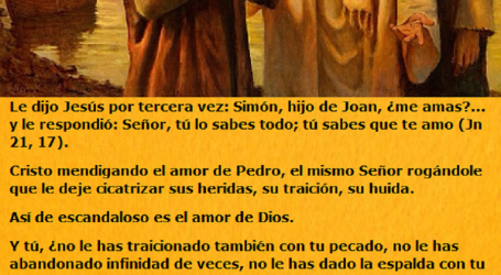 Simón, hijo de Joan, ¿me amas?… Cristo también mendiga tu amor / Por P. Carlos García Malo