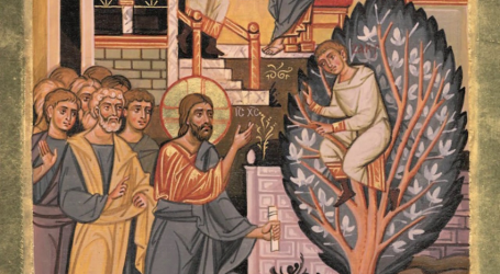 Homilía del Evangelio del Domingo: la salvación es el fruto del encuentro con Jesús / Por P. José María Prats