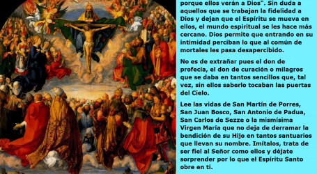«Bienaventurados los limpios de corazón porque ellos verán a Dios» / Por P. Carlos García Malo