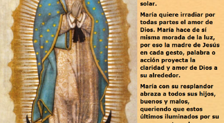 La Virgen María quiere irradiar por todas partes el amor de Dios / Por P. Carlos García Malo