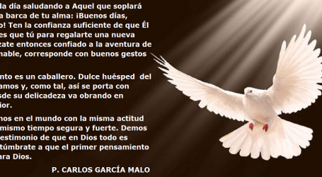 El Espíritu Santo, desde su delicadeza, va obrando en nuestro interior / Por P. Carlos García Malo
