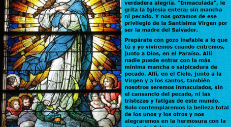 «Toda hermosa eres, María Inmaculada: y el pecado original no está en ti» / Por P. Carlos García Malo