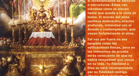 «Atesorad tesoros en el cielo», dice el Señor / Por P. Carlos García Malo