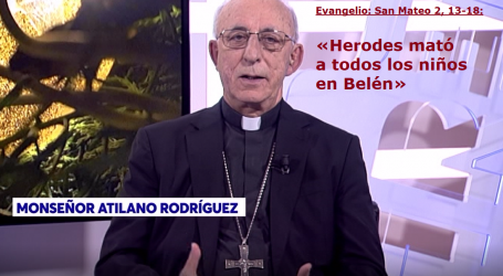 Palabra de Vida 28/12/19: «Herodes mató a todos los niños en Belén» / Por Mons. Atilano Rodríguez, Obispo de Sigüenza-Guadalajara