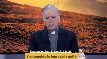 Palabra de Vida 11/1/2020: «Y enseguida la lepra se le quitó» / Por P. Jesús Higueras