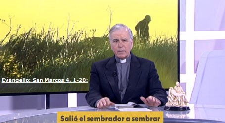 Palabra de Vida 29/1/2020: «Salió el sembrador a sembrar» / Por P. Jesús Higueras