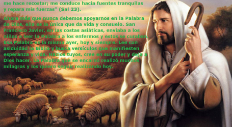 «El Señor es mi pastor, nada me falta” / Por P. Carlos García Malo