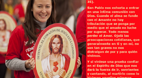 «¿Quién nos podrá separar del amor de Cristo?”/ Por P. Carlos García Malo