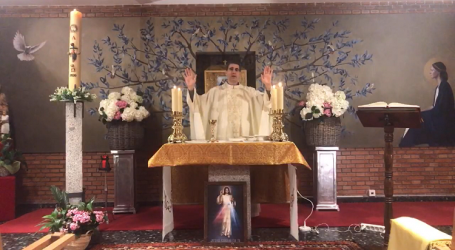 Santa Misa y adoración del segundo domingo de Pascua, presidida por el P. Fernando Simón Rueda, en la Parroquia San Juan Crisóstomo de Madrid, 19-4-2020