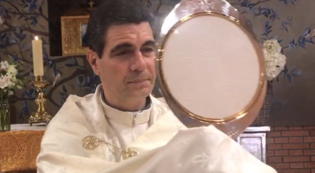 Santa Misa y adoración del jueves de la segunda semana de Pascua, presidida por el P. Fernando Simón Rueda, en la Parroquia San Juan Crisóstomo de Madrid, 23-4-2020