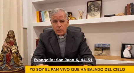 Palabra de Vida 30/4/2020: «Yo soy el pan vivo que ha bajado del cielo» / Por P. Jesús Higueras