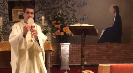 Santa Misa y adoración de la vigilia del 4º domingo de Pascua, presidida por el P. Fernando Simón Rueda, en la Parroquia San Juan Crisóstomo de Madrid, 2-5-2020