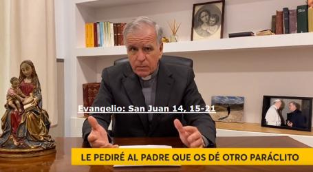 Palabra de Vida 17/5/2020: «Le pediré al Padre que os dé otro Paráclito» / Por P. Jesús Higueras