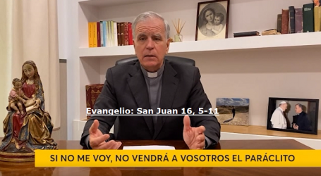 Palabra de Vida 19/5/2020: «Si no me voy, no vendrá a vosotros el Paráclito» / Por P. Jesús Higueras