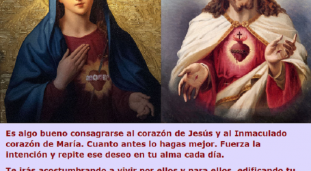 Es algo bueno consagrarse al corazón de Jesús y al Inmaculado corazón de María / Por P. Carlos García Malo