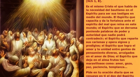 «Recibiréis poder, cuando venga sobre vosotros el Espíritu Santo, y seréis mis testigos” / Por P. Carlos García Malo