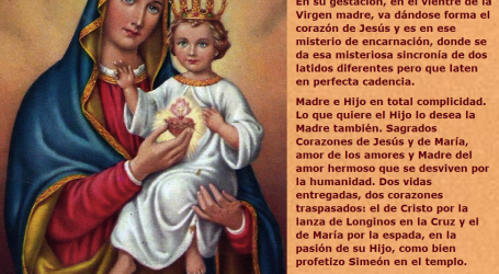 Los corazones de Jesús y de María laten al unísono entonando una melodía de amor y paz / Por P. Carlos García Malo