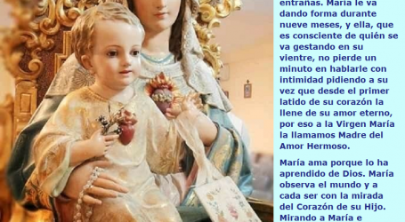 La Virgen María observa el mundo y a cada ser con la mirada del Corazón de su Hijo / Por P. Carlos García Malo