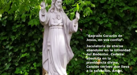«Sagrado Corazón de Jesús, en vos confío» / Por P. Carlos García Malo