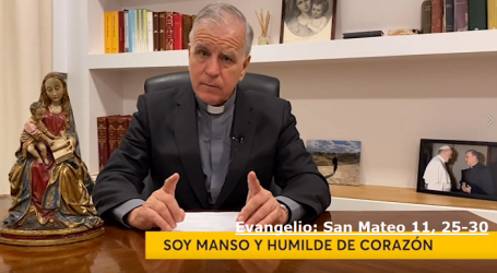 Palabra de Vida 5/7/2020: «Soy manso y humilde de corazón» / Por P. Jesús Higueras