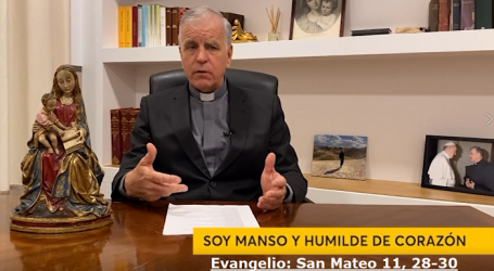 Palabra de Vida 16/7/2020: «Soy manso y humilde de corazón» / Por P. Jesús Higueras