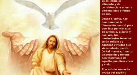 Es necesario cada día dedicar un tiempo a la dimensión espiritual con la ayuda del Espíritu Santo / Por P. Carlos García Malo