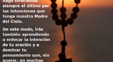 Medita en oración tu petición y te deleitarás mejor en el rezo del Santo Rosario / Por P. Carlos García Malo