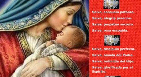 Salve, llena de gracia, madre de Cristo / Por P. Carlos García Malo