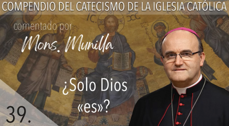 Compendio del Catecismo de la Iglesia Católica: Nº 39  ¿Solo Dios es? Responde Mons. José Ignacio Munilla, obispo de San Sebastián