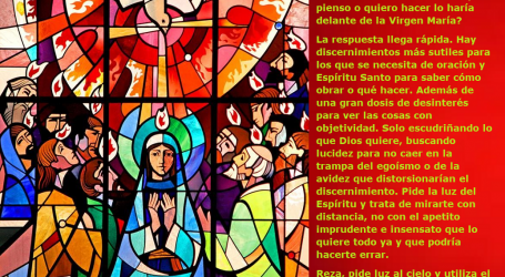 Hay discernimientos sutiles para los que se necesita de oración y Espíritu Santo para saber qué hacer / Por P. Carlos García Malo