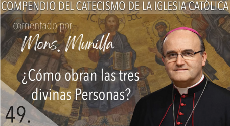 Compendio del Catecismo de la Iglesia Católica: Nº 49 ¿Cómo obran las tres divinas personas? Responde Mons. José Ignacio Munilla, obispo de San Sebastián