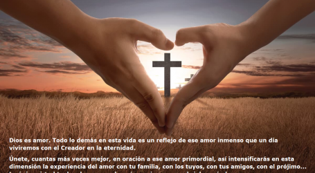 Dios es amor. La única virtud teologal que prevalecerá por siempre es el amor / Por P. Carlos García Malo