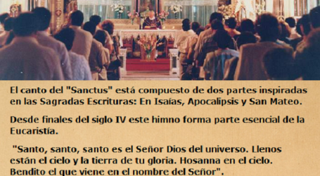 «Santo, santo, santo es el Señor Dios del universo» / Por P. Carlos García Malo
