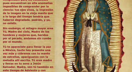 Virgen de Guadalupe ven tú también en este tiempo de Adviento y con Cristo: ¡Sálvanos / Por P. Carlos García Malo