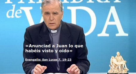 Palabra de Vida 16/12/2020: «Anunciad a Juan lo que habéis visto y oído» / Por P. Jesús Higueras