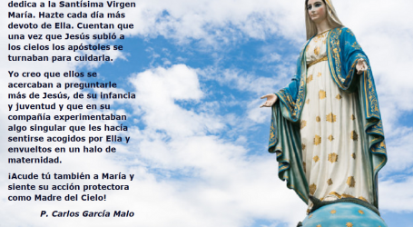 ¡Acude a la Virgen María y siente su acción protectora como Madre! / Por P. Carlos García Malo