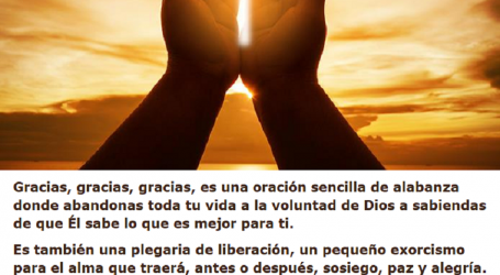Al decir «gracias» desde el corazón alabando al buen Dios se desencadenan bendiciones abundantes / Por P. Carlos García Malo